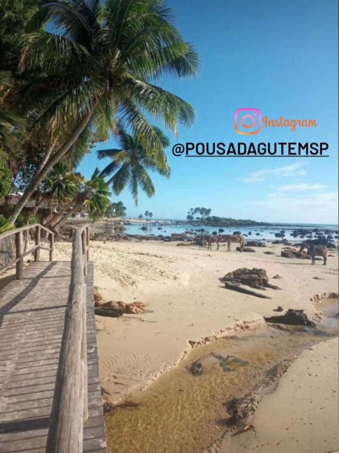 Pousada Gute Morro Morro de São Paulo Exterior foto
